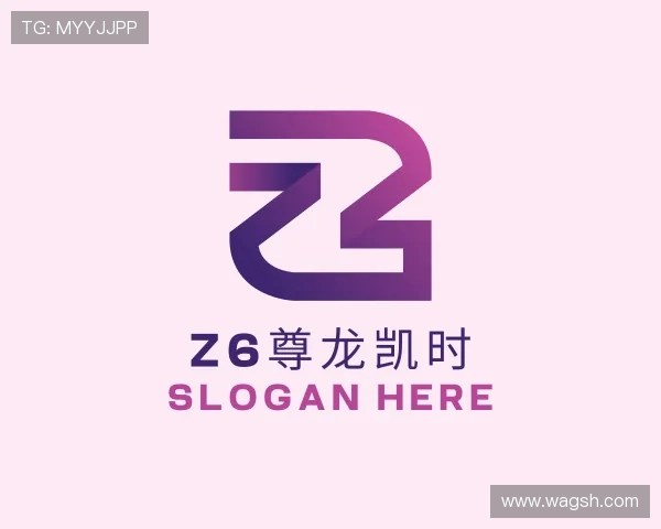 发现z6尊龙凯时